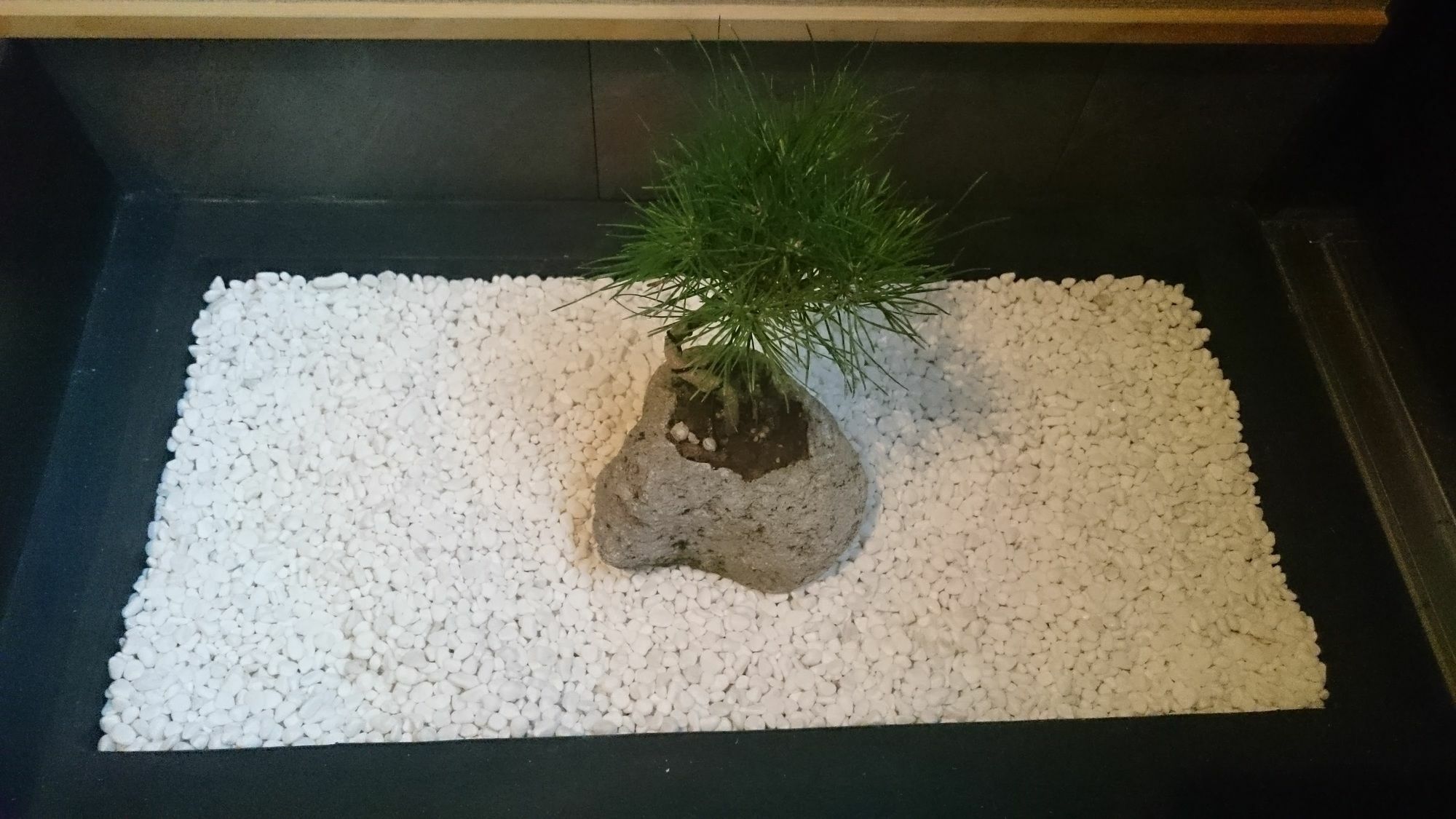 Kanesuke Kioto Exterior foto